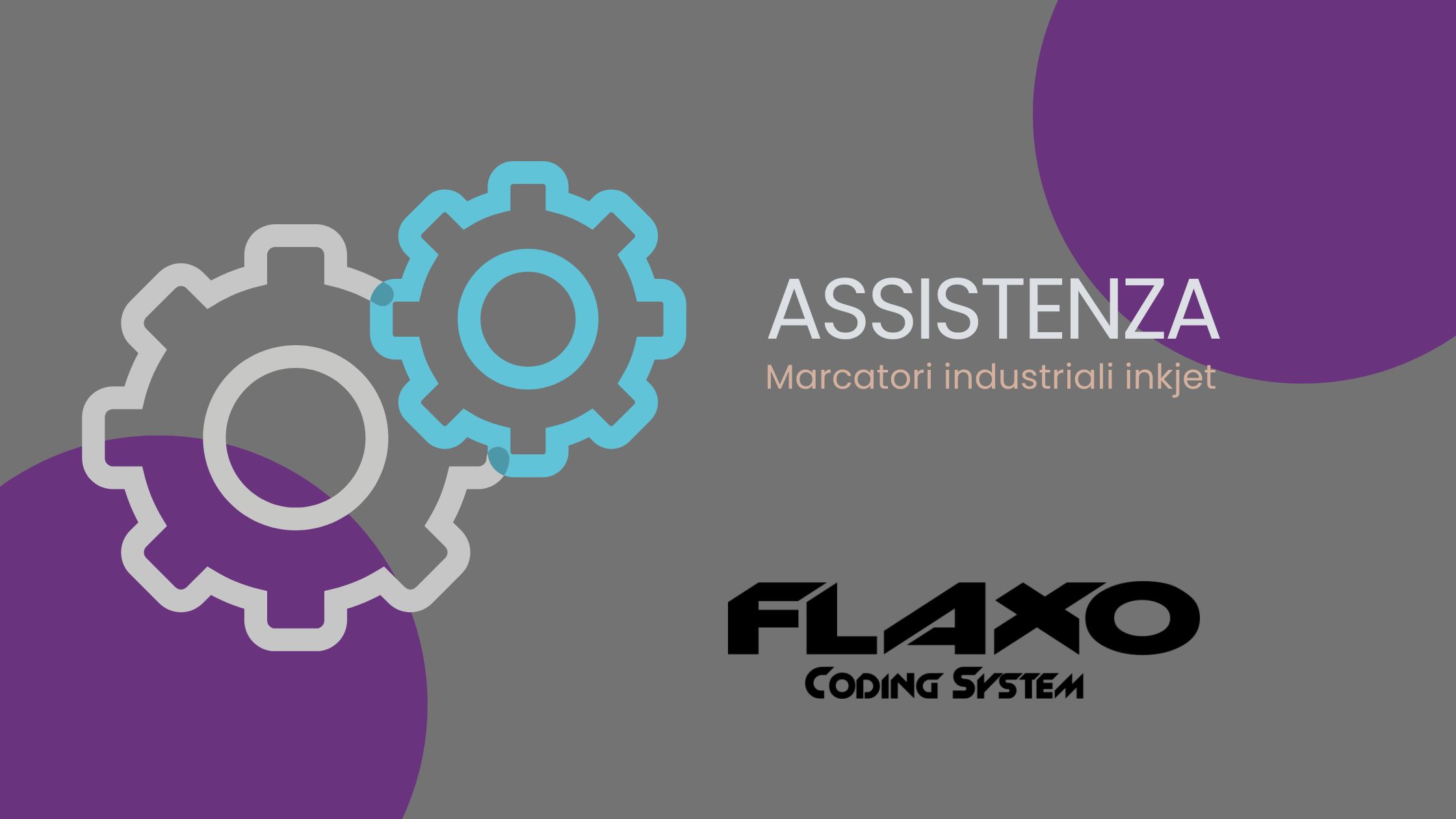 marcatori industriali inkjet assistenza